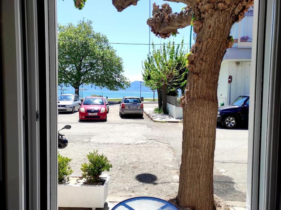 Apartmán Pel House Nafpaktos Exteriér fotografie